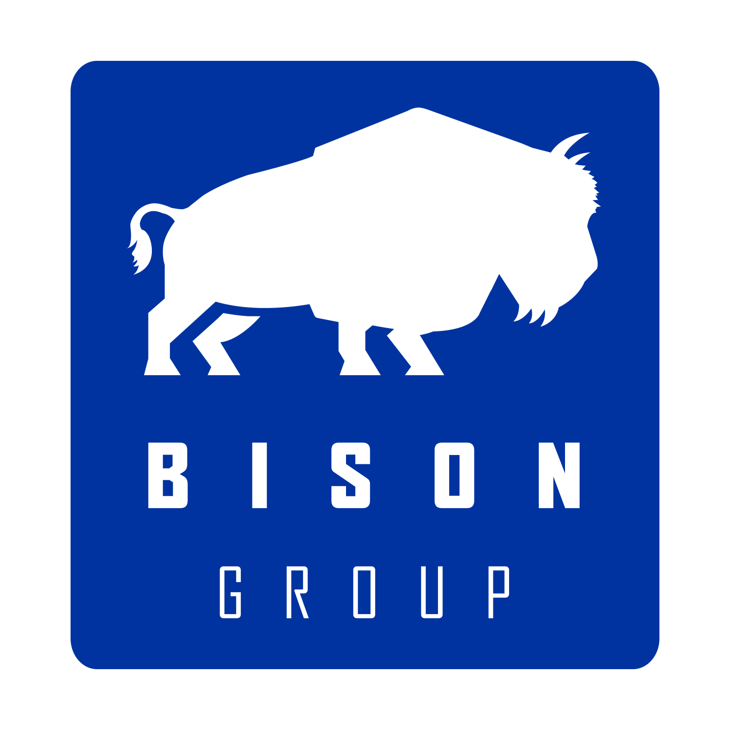 The Bison Group